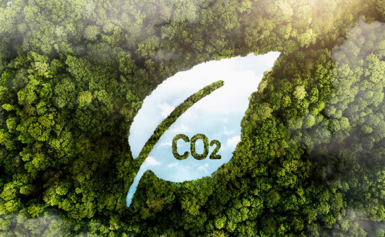Como obter o Certificado Carbono Neutro de acordo com a norma ABNT PR 2060