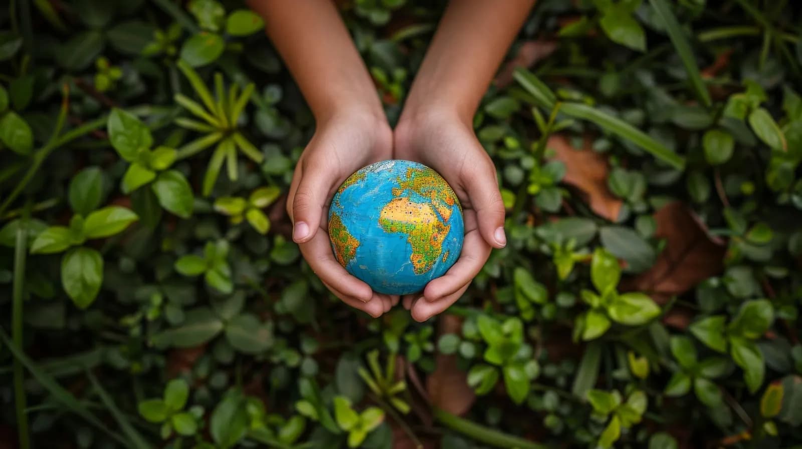 COP30: avanços importantes, mas ainda aquém da urgência climática