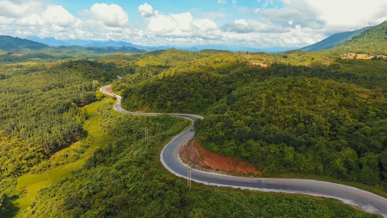 Vista aérea de estrada sinuosa entre floresta e plantações, simbolizando a logística da cadeia de suprimentos do Escopo 3
