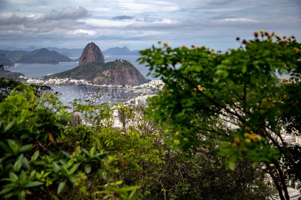 G20: A Importância da Cooperação Internacional para Enfrentar as Mudanças Climáticas