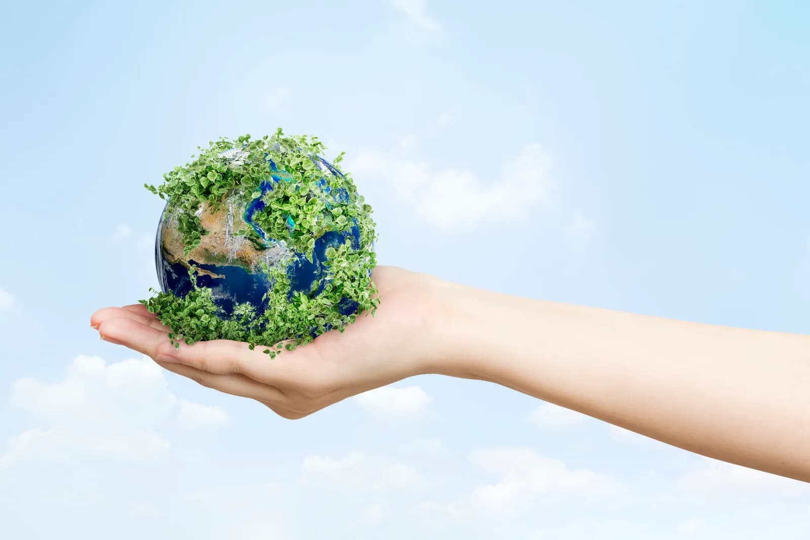 Net Zero em Eventos: de tendência sustentável a exigência estratégica do mercado